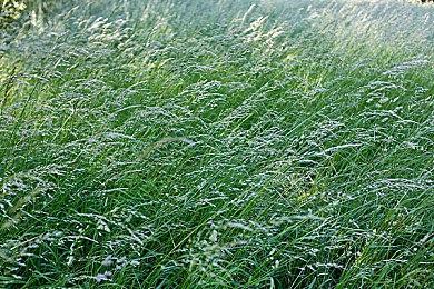 《循环勇士》销量突破100万大关 今日登陆NS平台